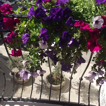 Al Vecchio Borgo Couette-café 3*